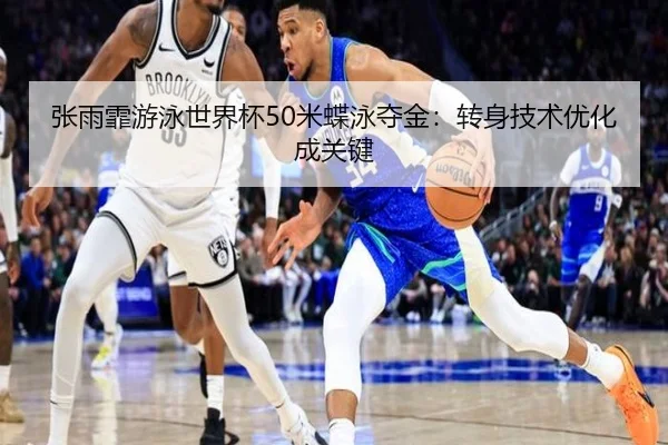 zhang-yu-fei-you-yong-shi-jie-bei-mi-die-yong-duo-jin-zhuan-shen-ji-shu-you-hua-cheng-guan-jian-2-766.jpg