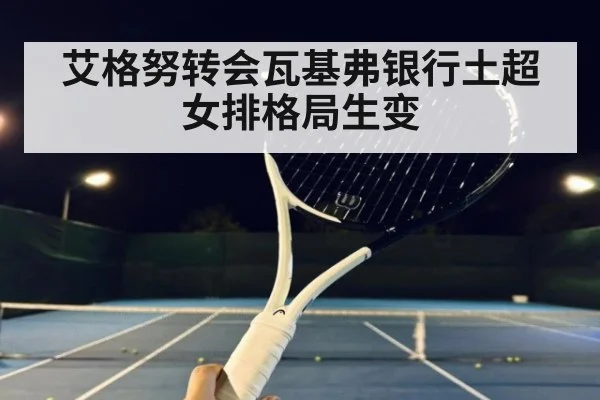 艾格努转会瓦基弗银行土超女排格局生变