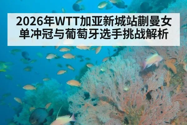 2026年WTT加亚新城站蒯曼女单冲冠与葡萄牙选手挑战解析